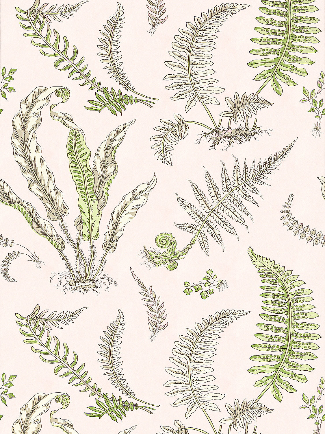 Scalamandre Elsie De Wolfe Ballet Slipper Wallcovering