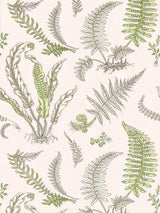 Scalamandre Elsie De Wolfe Ballet Slipper Wallcovering