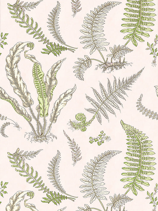 Scalamandre Elsie De Wolfe Ballet Slipper Wallcovering