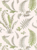 Scalamandre Elsie De Wolfe Ballet Slipper Wallcovering