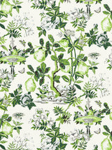 Scalamandre Shantung Garden Verdance Wallcovering