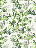 Scalamandre Shantung Garden Verdance Wallcovering