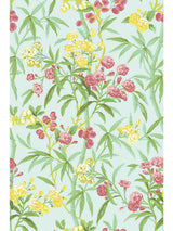 Scalamandre Lanai Passionfruit Wallcovering