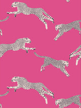 Scalamandre Leaping Cheetah Bubblegum Wallcovering