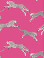 Scalamandre Leaping Cheetah Bubblegum Wallcovering