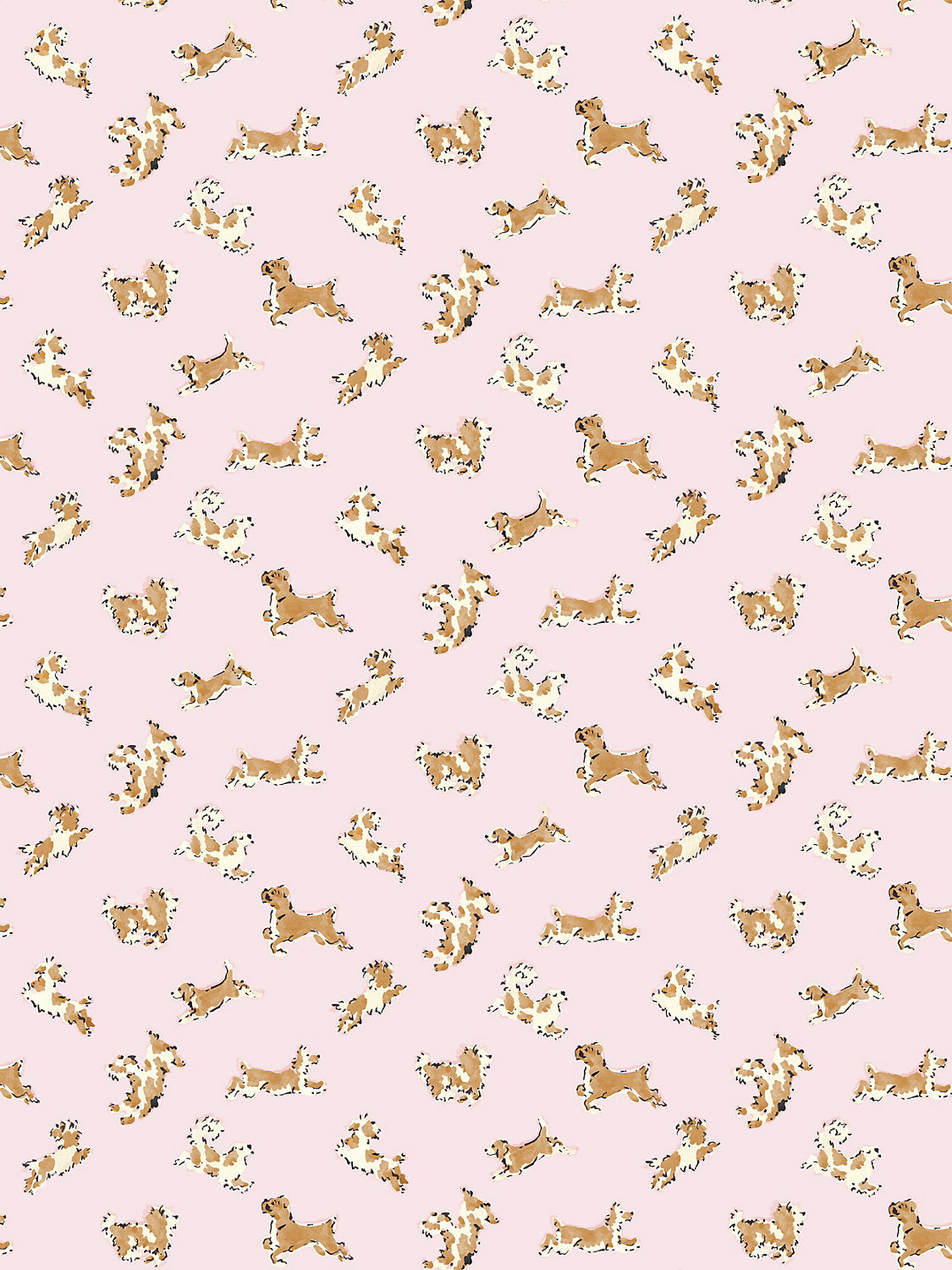 Scalamandre Fete De Chien Ballerina Pink and Honey Wallcovering
