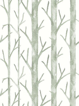 Scalamandre Everett Vinyl II Evergreen Wallcovering