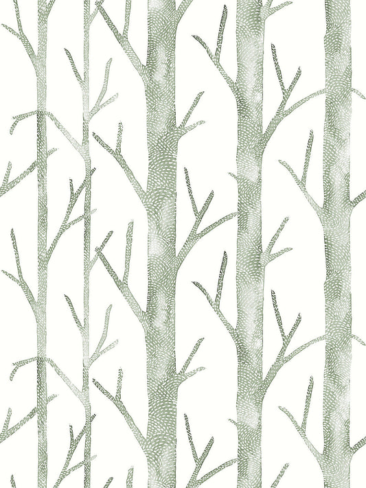 Scalamandre Everett Vinyl II Evergreen Wallcovering