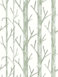 Scalamandre Everett Vinyl II Evergreen Wallcovering