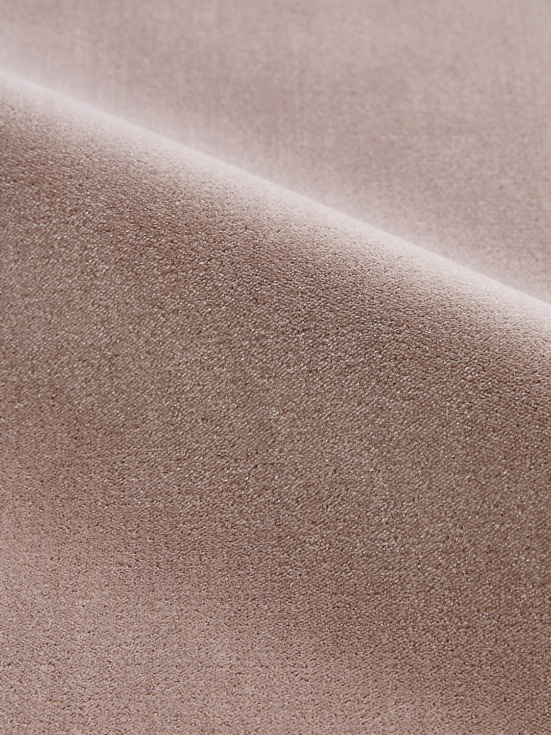 Special Order Scalamandre Porter Earth Brown Plain Velvet MSRP USD MSRP USD164/y