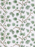 Scalamandre Pignoli Fern Wallcovering