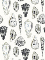 Scalamandre Coquina Graphite Wallcovering