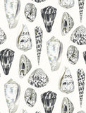 Scalamandre Coquina Graphite Wallcovering