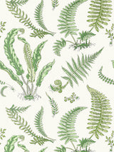 Scalamandre Elsie De Wolfe Fern Wallcovering