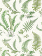 Scalamandre Elsie De Wolfe Fern Wallcovering