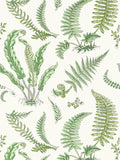 Scalamandre Elsie De Wolfe Fern Wallcovering