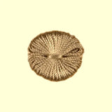 Scalamandre Lafayette Tuft Silk - Medium Stone