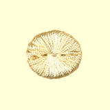 Scalamandre Lafayette Tuft Silk - Light Yellow