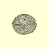 Scalamandre Lafayette Tuft Silk - Medium Sage