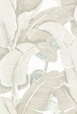 Hinson Palm Parchment Wallcovering