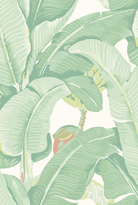 Hinson Palm Soft Sage Wallcovering