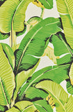 Hinson Palm Mojito Wallcovering