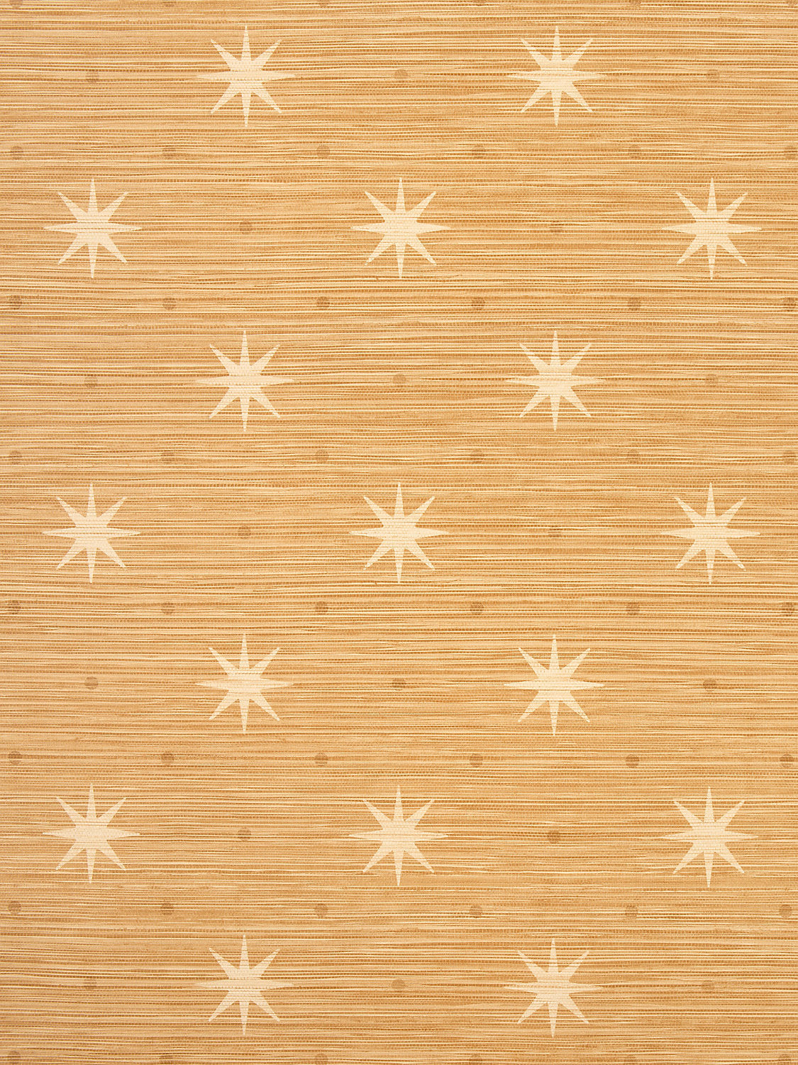Hinson Big Trixie Rattan Wallcovering
