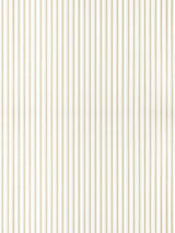 Scalamandre Johnson Stripe Dune Wallcovering