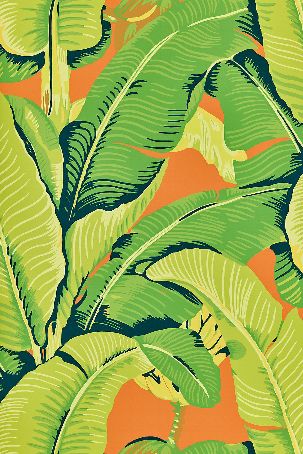 Hinson Palm Aperol Spritz Wallcovering