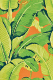 Hinson Palm Aperol Spritz Wallcovering