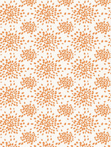 Hinson Fireworks Tangerine Wallcovering