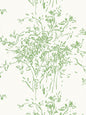 Hinson Kurt Pear Wallcovering