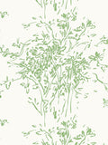 Hinson Kurt Pear Wallcovering