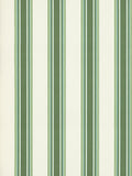 Hinson Nolan Stripe Fern Wallcovering