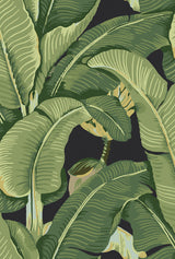 Hinson Palm Absinthe Wallcovering