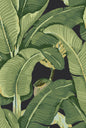 Hinson Palm Absinthe Wallcovering