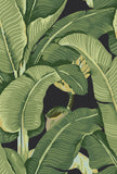 Hinson Palm Absinthe Wallcovering