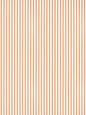 Scalamandre Johnson Stripe Tangerine Wallcovering