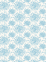 Hinson Fireworks Sky Wallcovering