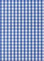 Hinson Checkers Cobalt Wallcovering