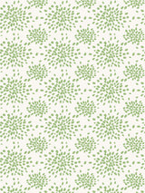 Hinson Fireworks Pear Wallcovering