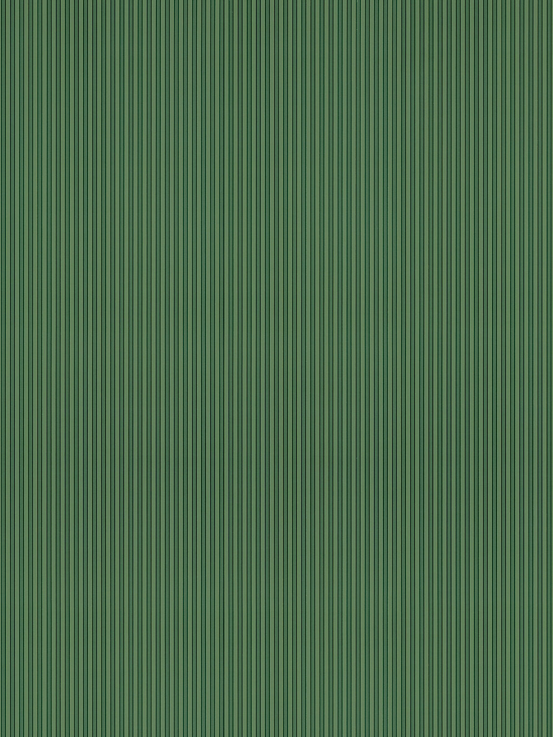 Hinson Wilson Stripe Fern Wallcovering