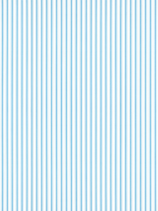 Hinson Johnson Stripe Sky Wallcovering