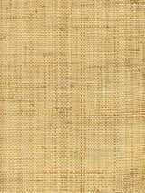 Hinson Madagascar Coarse Natural Wallcovering