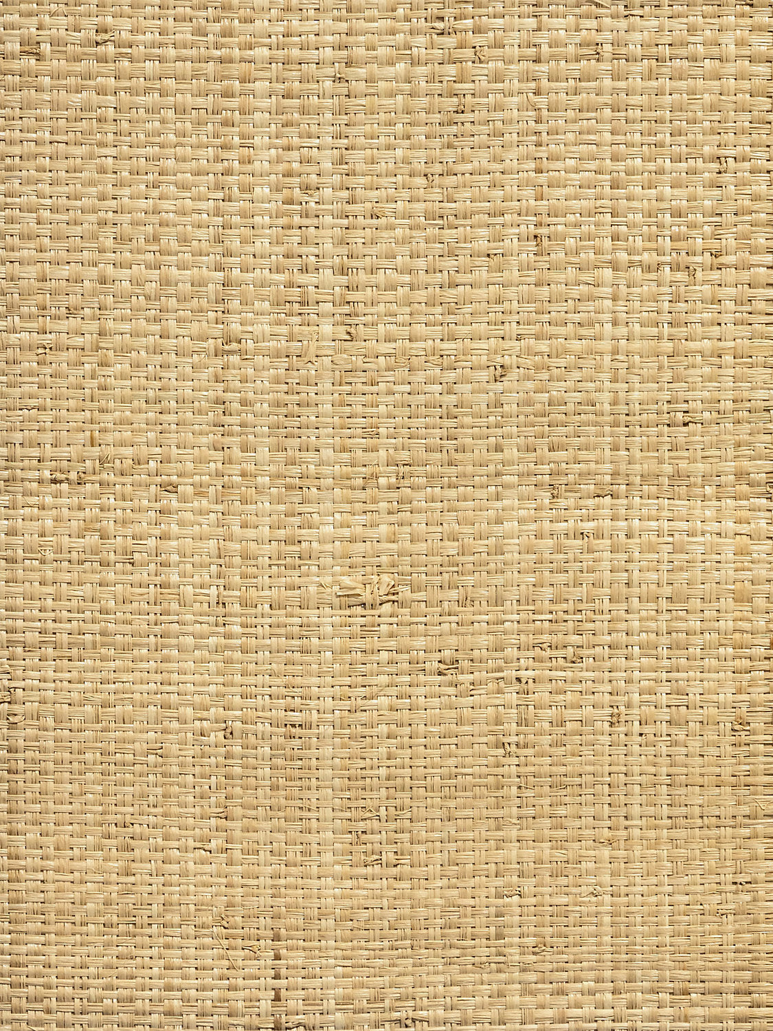 Hinson Madagascar Grand Natural Wallcovering