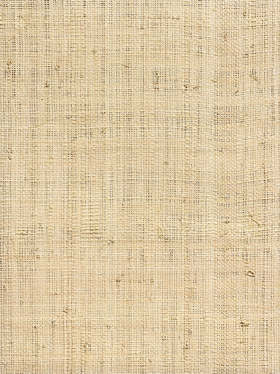 Hinson Madagascar Fine Whitewashed Wallcovering