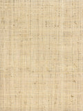 Hinson Madagascar Fine Whitewashed Wallcovering