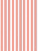 Scalamandre Piano Stripe Peach Wallcovering