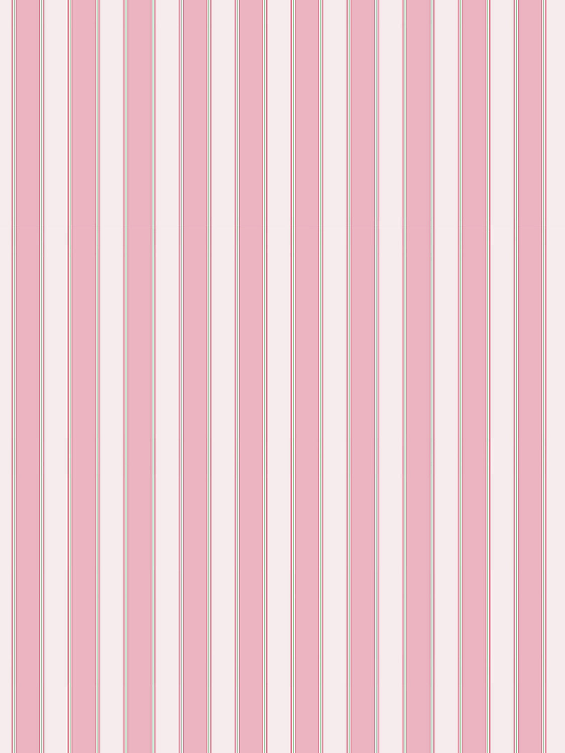 Scalamandre Piano Stripe Petal Wallcovering