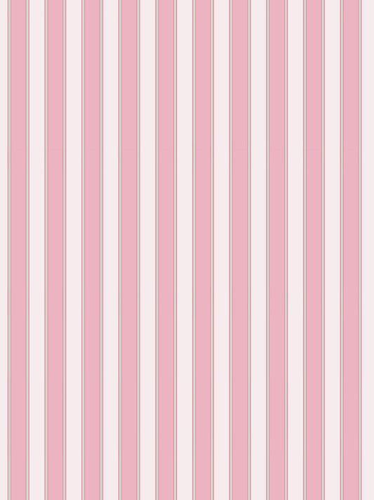 Scalamandre Piano Stripe Petal Wallcovering